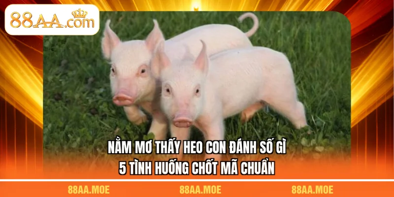Nằm Mơ Thấy Heo Con Đánh Số Gì - 5 Tình Huống Chốt Mã Chuẩn
